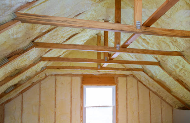 Best Geographic-Specific Insulation Services in Pinconning, MI