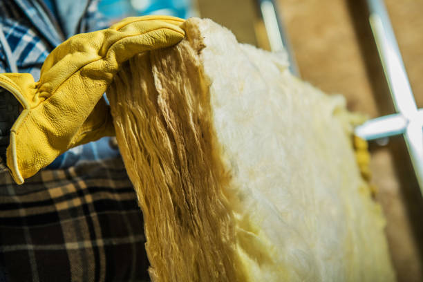Best DIY Insulation Kits and Guidance in Pinconning, MI
