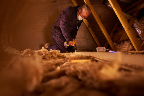 Best Cellulose Insulation in Pinconning, MI